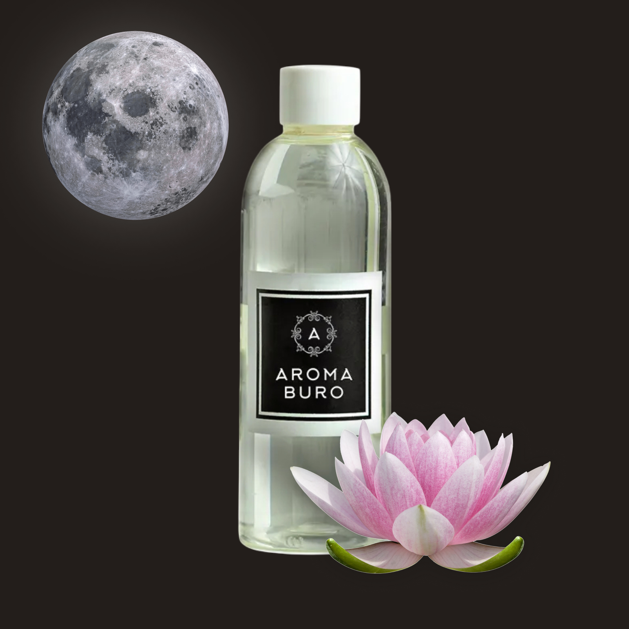 Фото Лунный свет